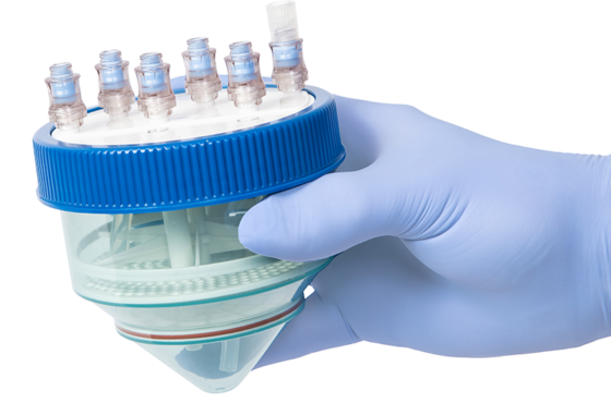 Mezenchymové kmenové buňky – budoucnost regenerativní medicíny